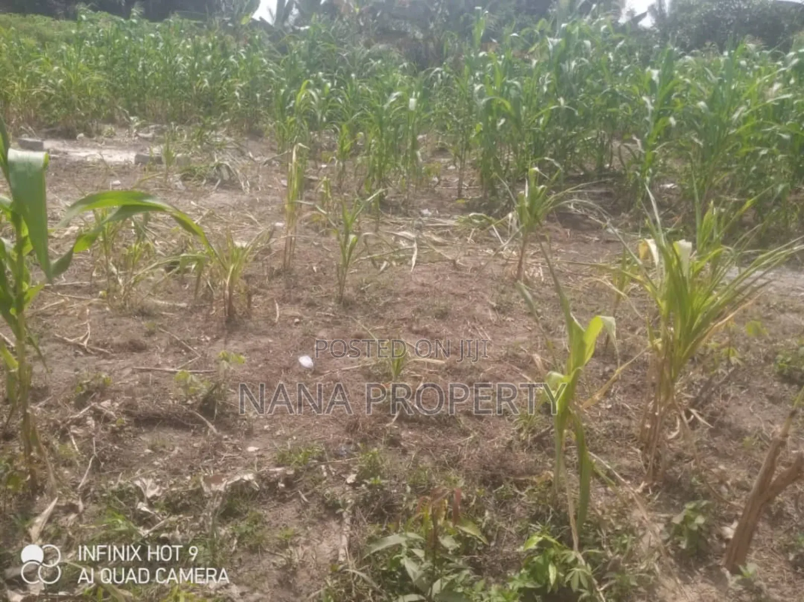 10 Plots of Land for Sale Located at Oyibi Saasabi Junc