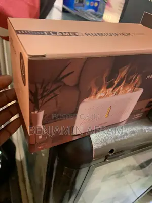 Professional Humidifier Air Fresher