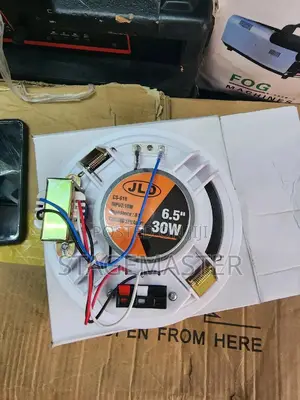 Ceiling Speaker (30watts)