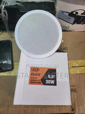 Ceiling Speaker (30watts)