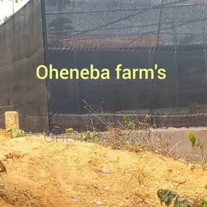 Greenhouse for Snails
