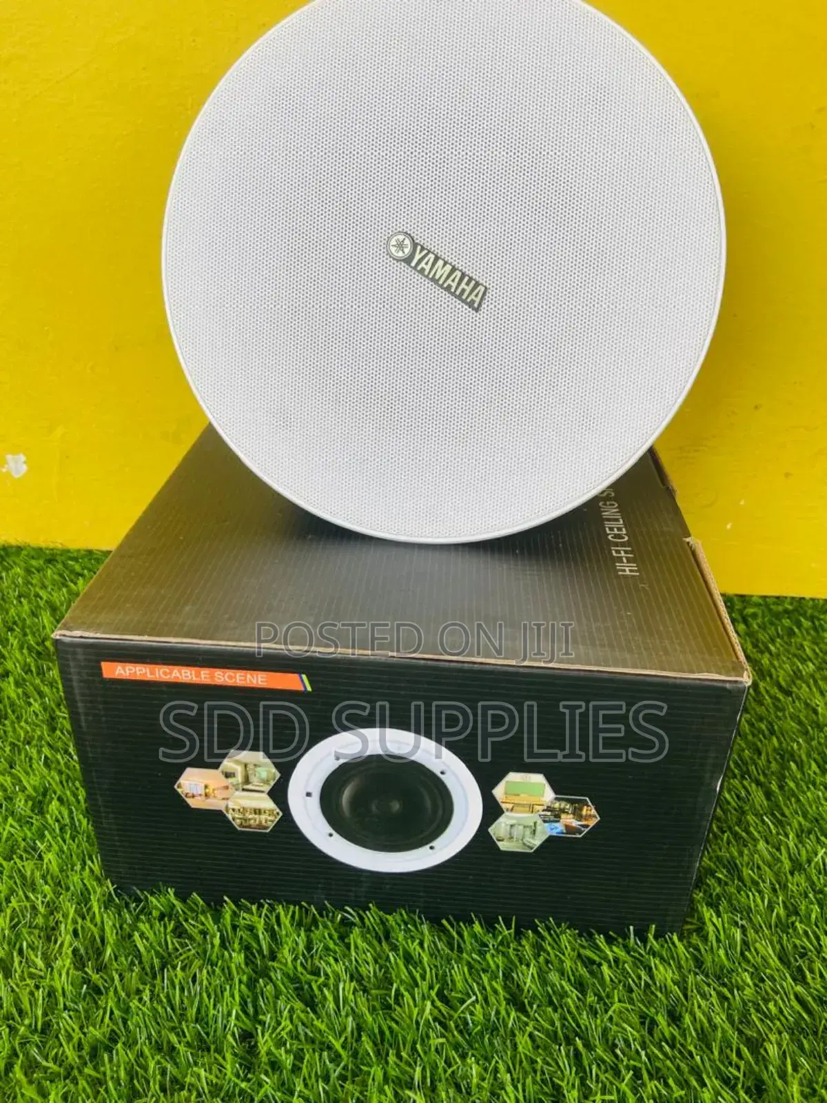 100W High Quality 6.5 Inch Woofer Ceiling Speaker