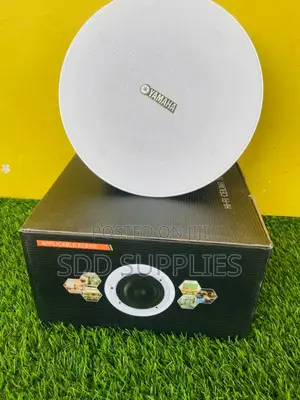 100W High Quality 6.5 Inch Woofer Ceiling Speaker