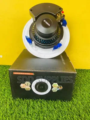 100W High Quality 6.5 Inch Woofer Ceiling Speaker