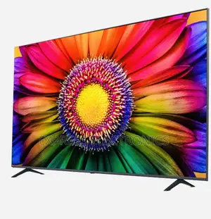 Vivid Full Clear Pictures UHD Smart 65”UR80