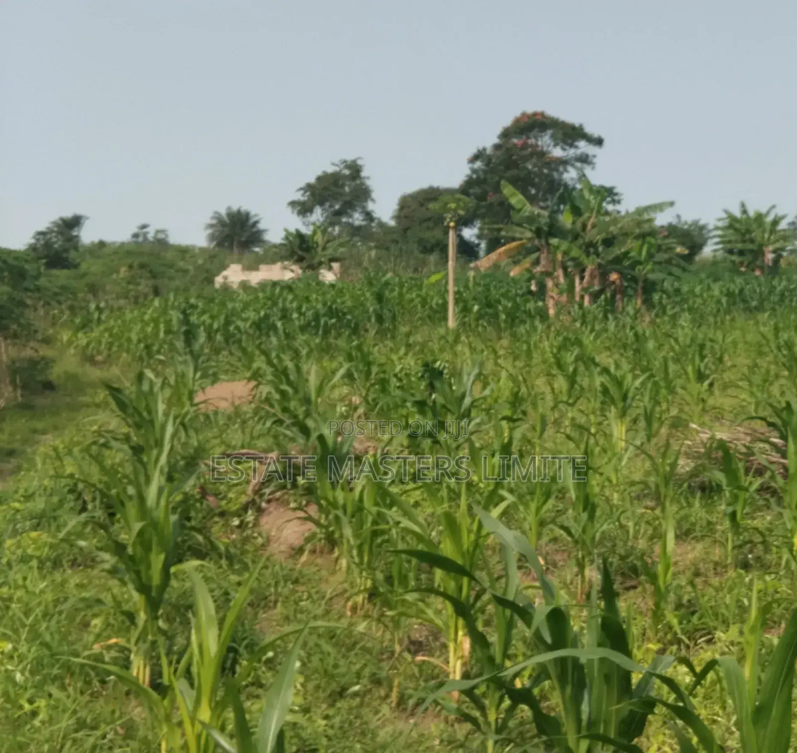 Special One and Half Plots for Sale