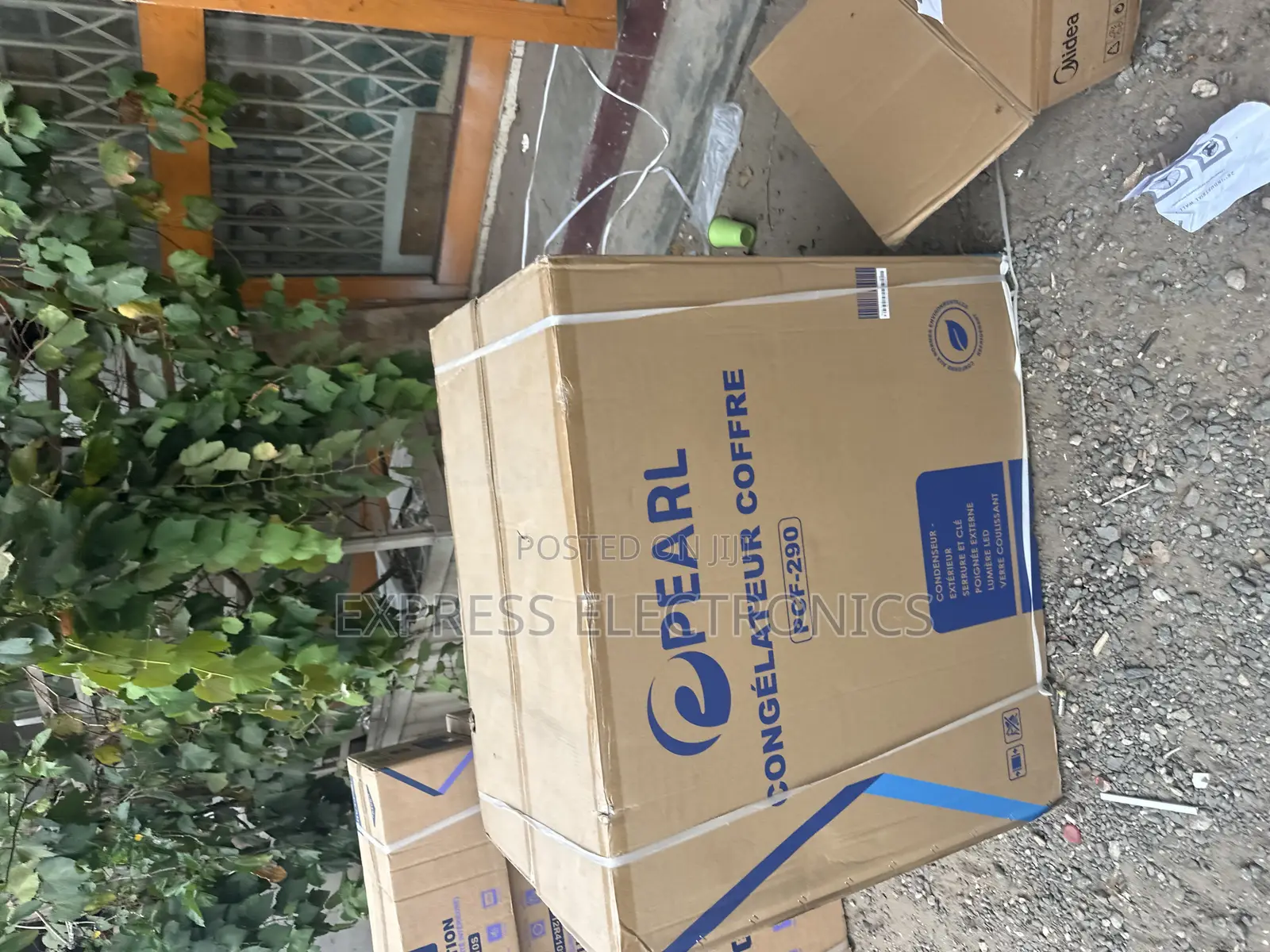 Best Buy for Less Chest 251L Pearl Single Door