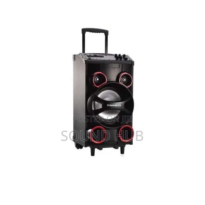 Nasco Professional Audio System