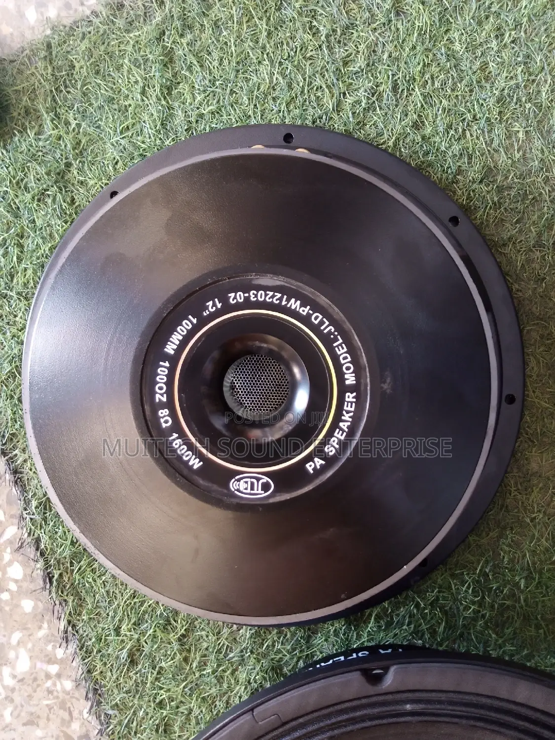 '12' Inches Naked Speaker