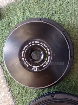 '12' Inches Naked Speaker