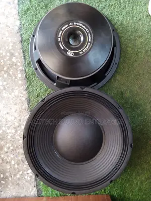 '12' Inches Naked Speaker