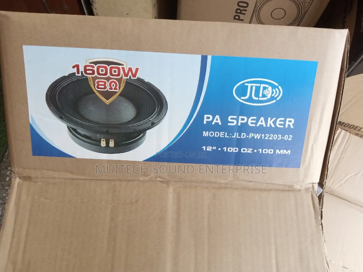 '12' Inches Naked Speaker