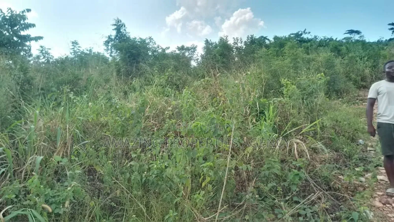 2 Acres of Land at Ayi Mensah