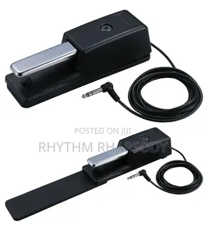 Roland Dp-10