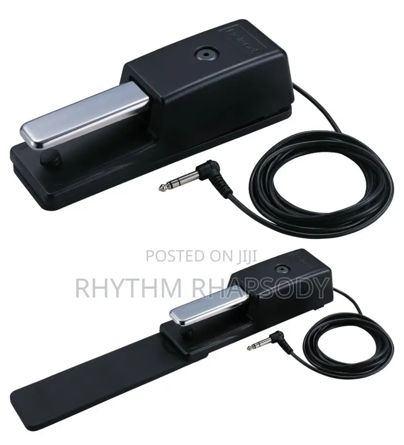 Roland Dp-10