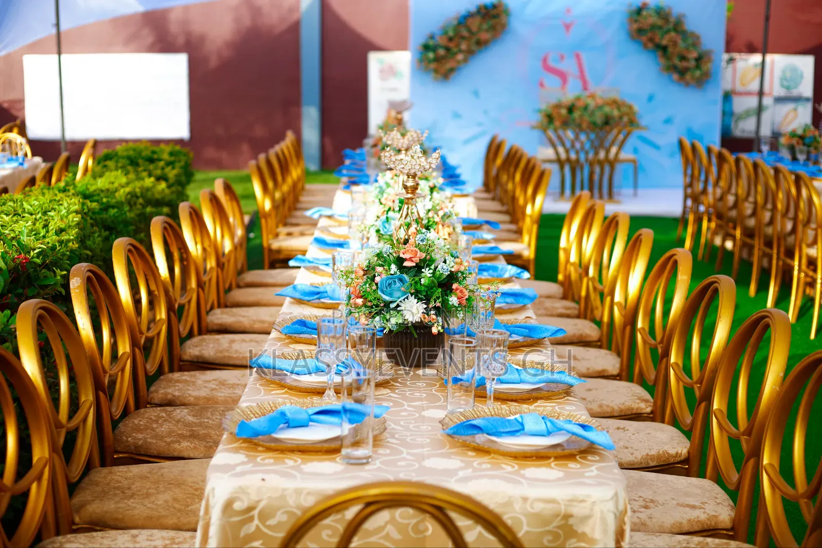 Chairs and Canopy Rental