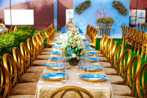 Chairs and Canopy Rental