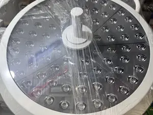Theatre Light - Ceiling Mount ( Double Dome)