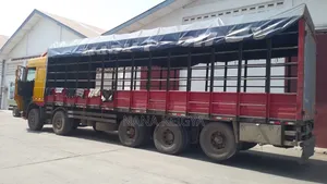 All Kinds of Trucks