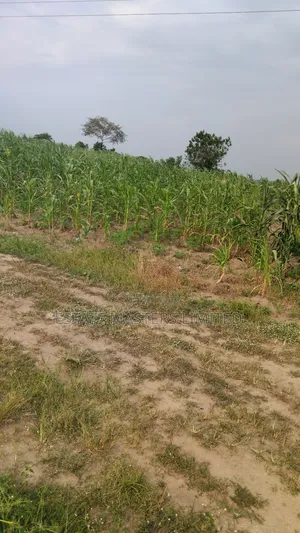 Project Land for Your Future Plans