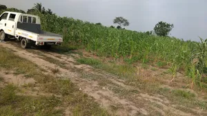 Project Land for Your Future Plans