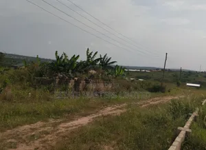 Buy Land From Estate, With No Land Guard Intrusion