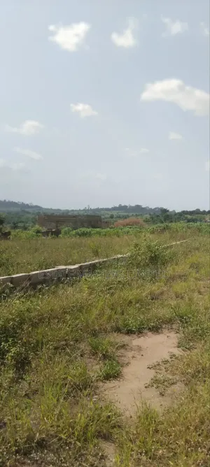 Buy Land From Estate, With No Land Guard Intrusion
