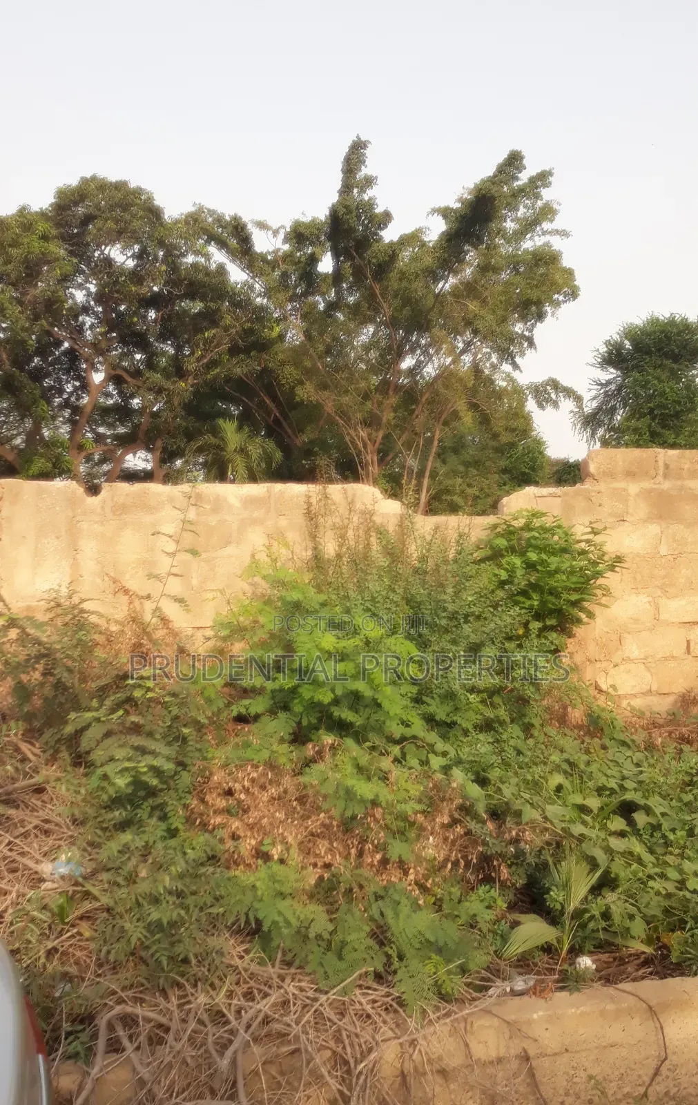 2 and Half Plots of Land for Sale at Tesano