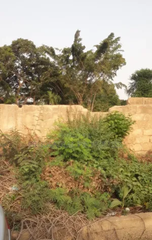 2 and Half Plots of Land for Sale at Tesano