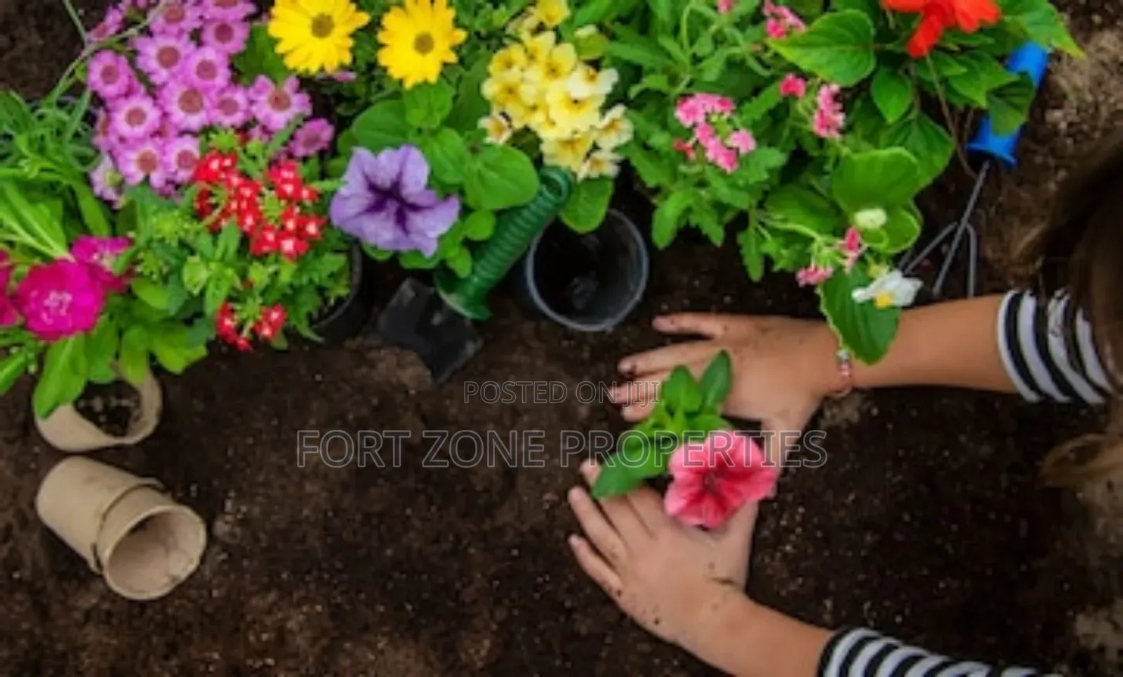 Fumigation and Gardening Service