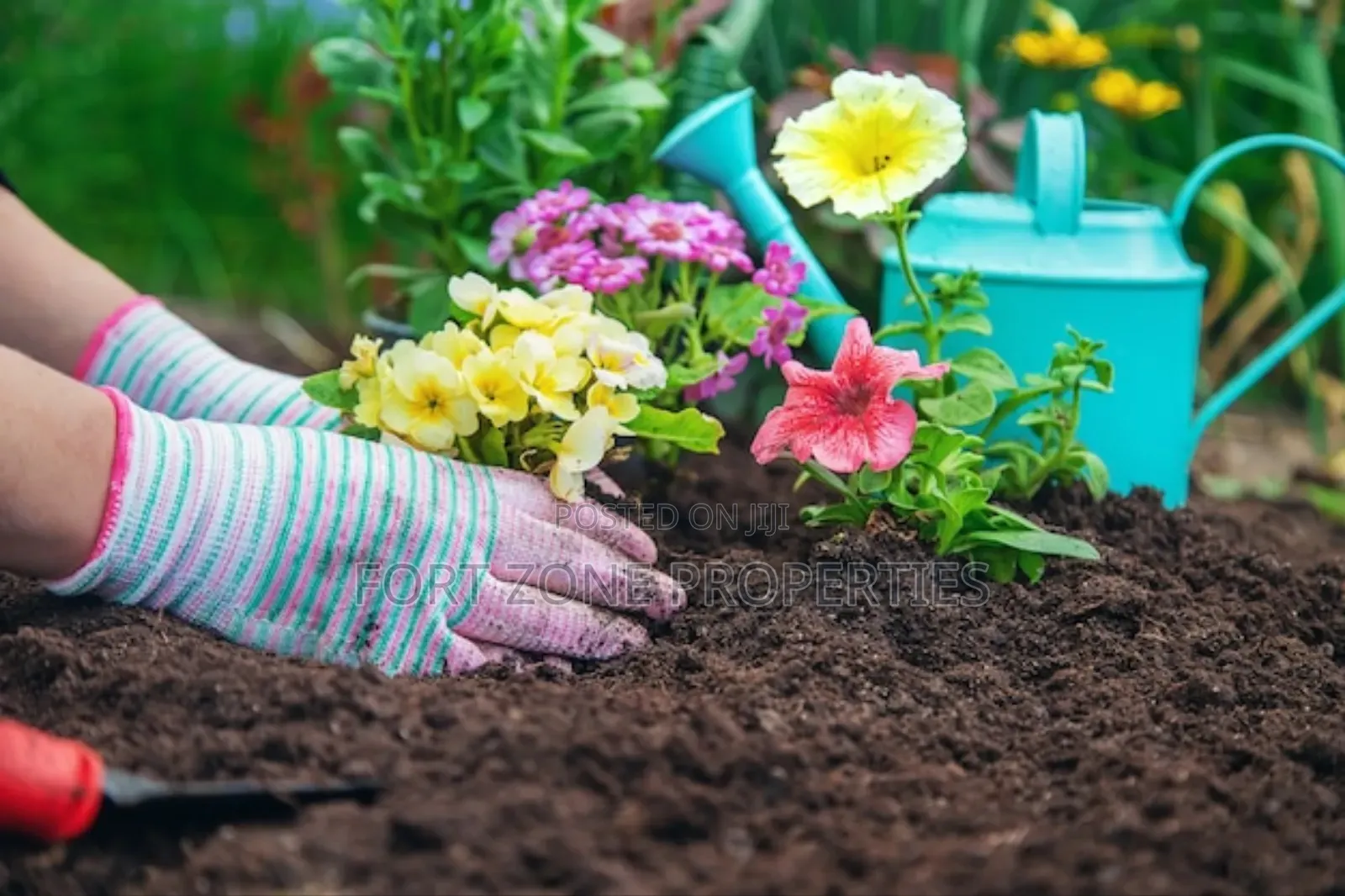 Fumigation and Gardening Service