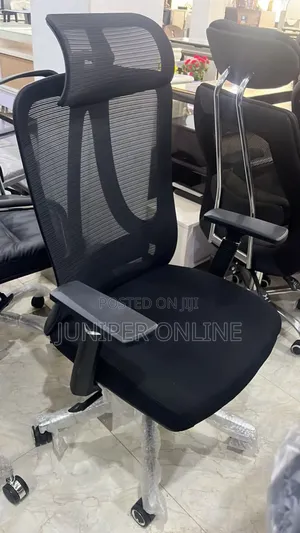 Ergonomic Chair