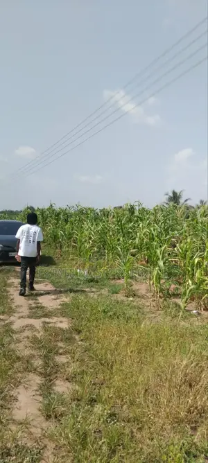 50x70 Plots of Land for Sale