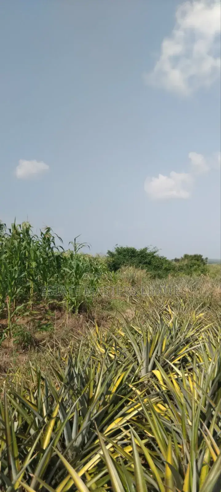 Serviced Plots of Lands for Sale