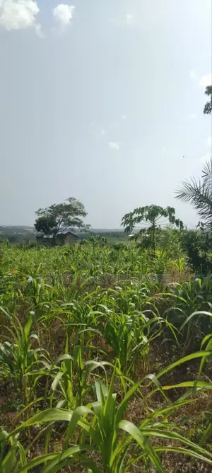 Serviced Plots of Lands for Sale
