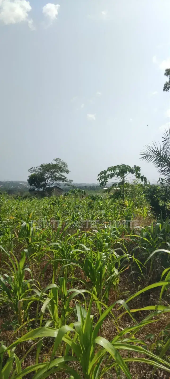Serviced Plots of Lands for Sale