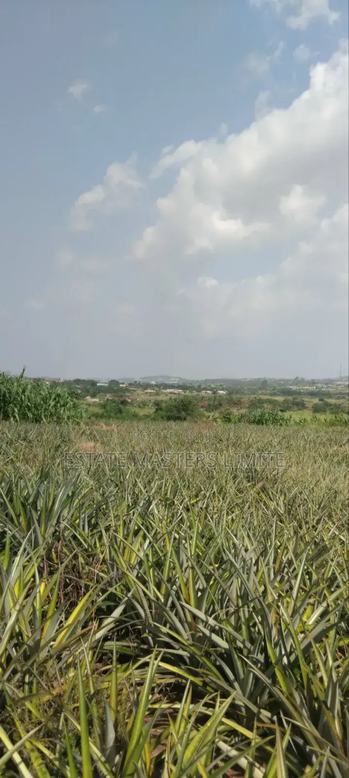 Acres of Lands Available for Sale