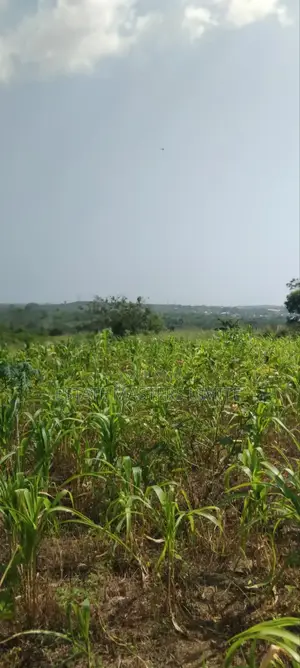 Very Beautiful Lands Avaliable for Sale