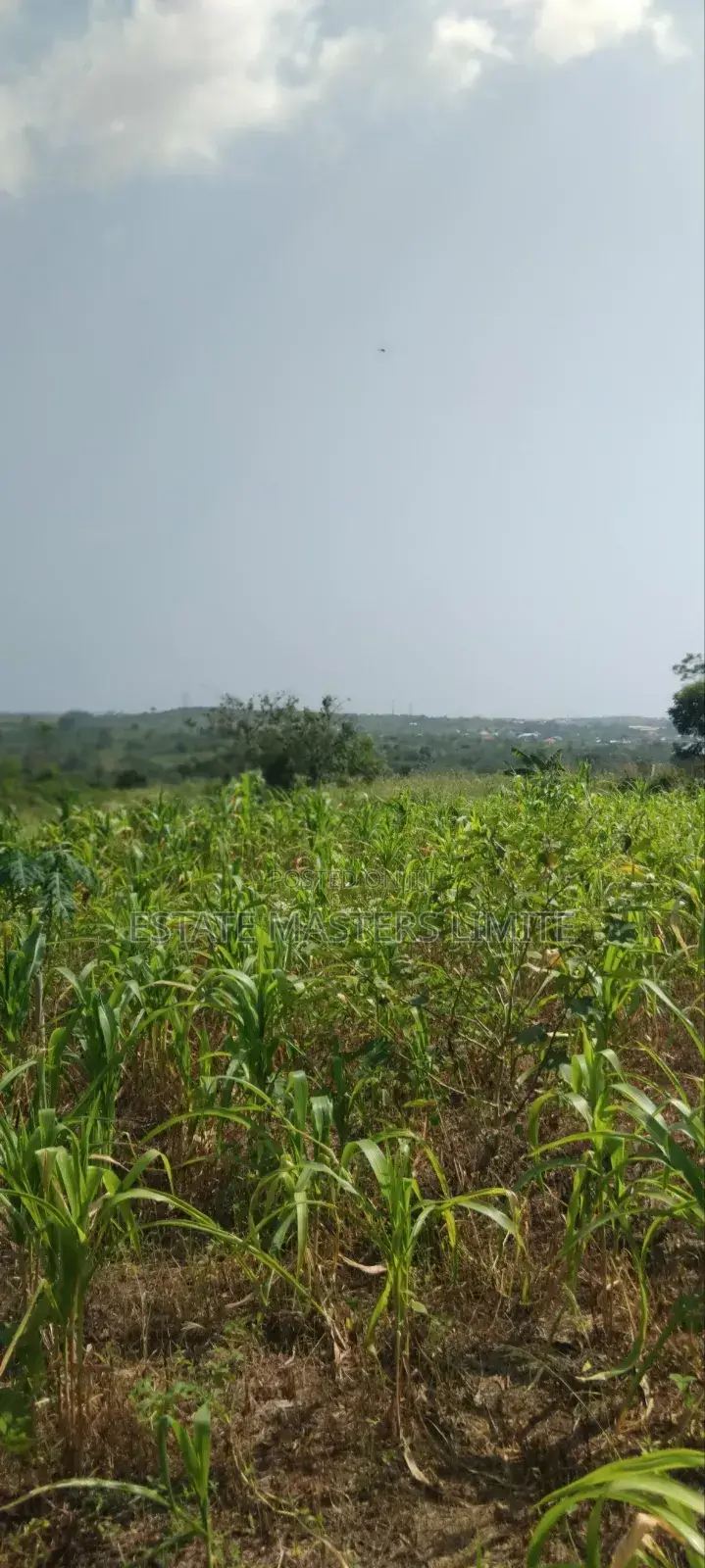 Very Beautiful Lands Avaliable for Sale