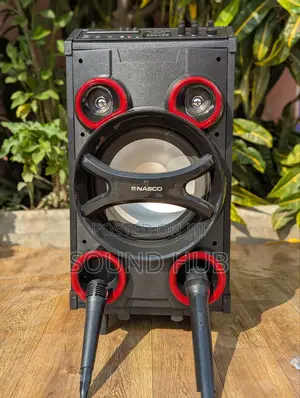 Professinal Speaker System With Two Microphones