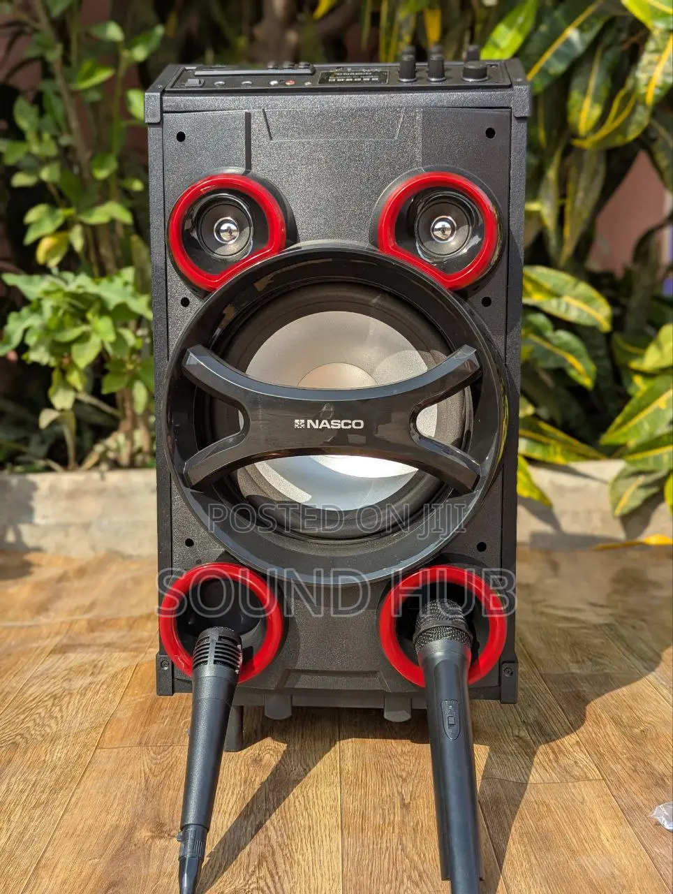 Professinal Speaker System With Two Microphones