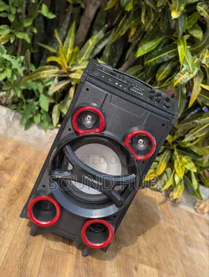 Professinal Speaker System With Two Microphones