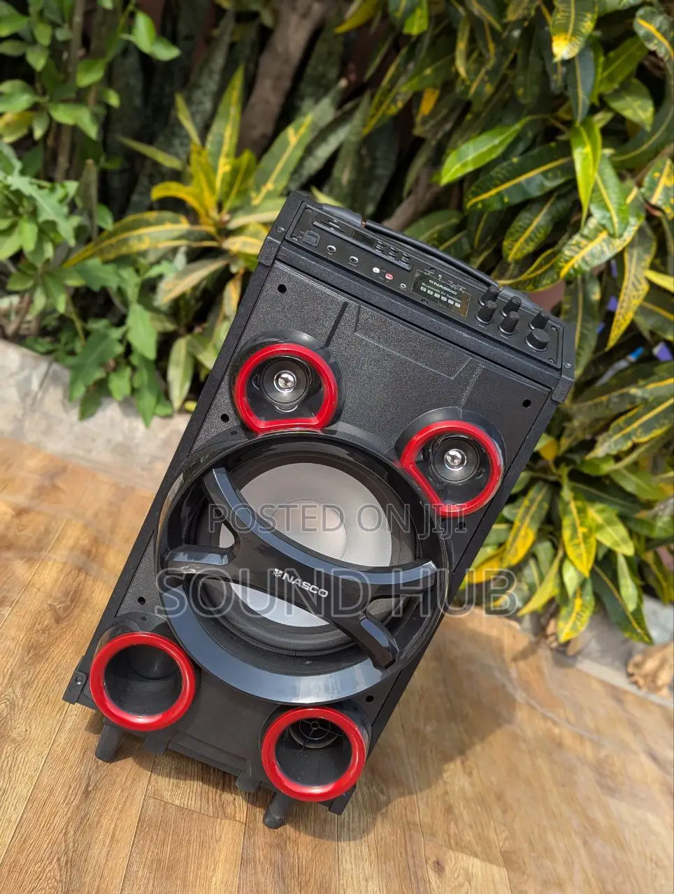 Professinal Speaker System With Two Microphones