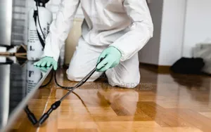 Settle All Your Pest Control and Fumigation With Cleantex
