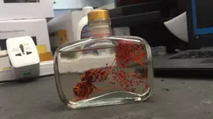 Reed Diffuser