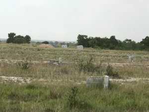 Genuine Estate Land That Comes With Free Documentation