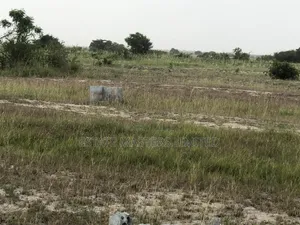 Genuine Estate Land That Comes With Free Documentation