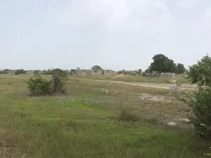 Buy Demarcated Land With a Road Between Each Two Plot