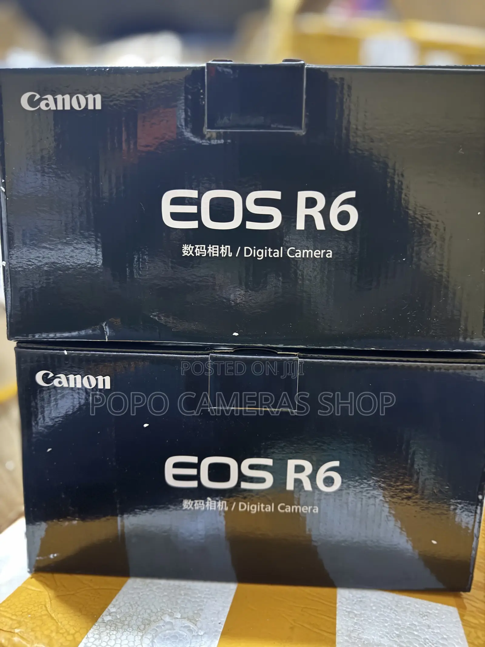 Canon Eos R6
