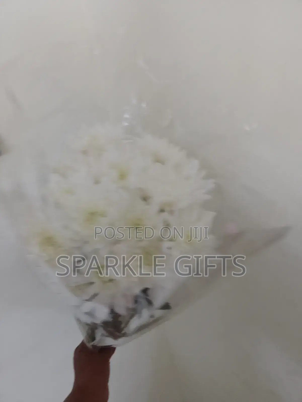 Natural Real Roses Valentine's Day, Graduation, Birthday